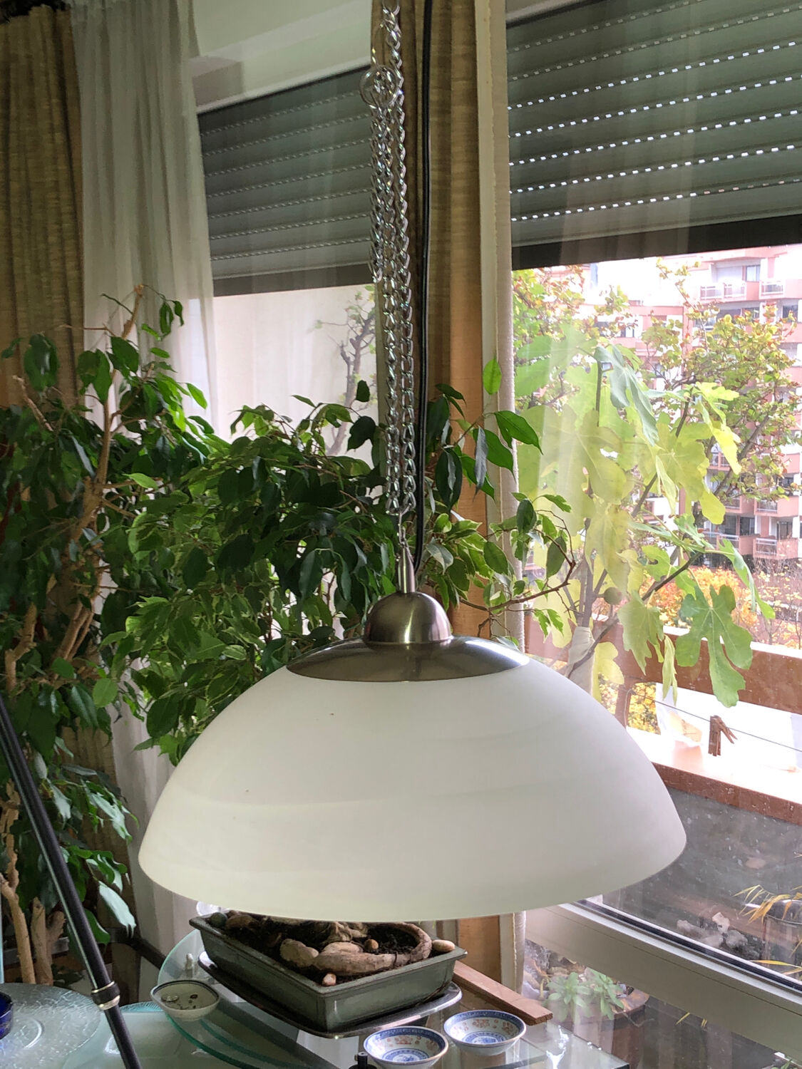 Molded glass pendant light