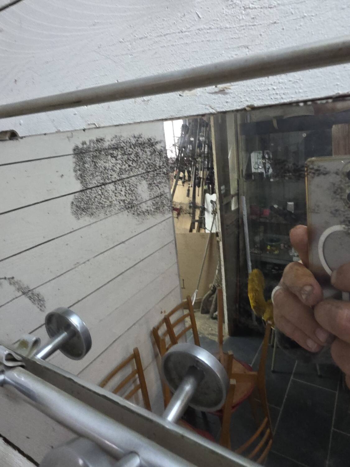 1960s aluminum coat rack