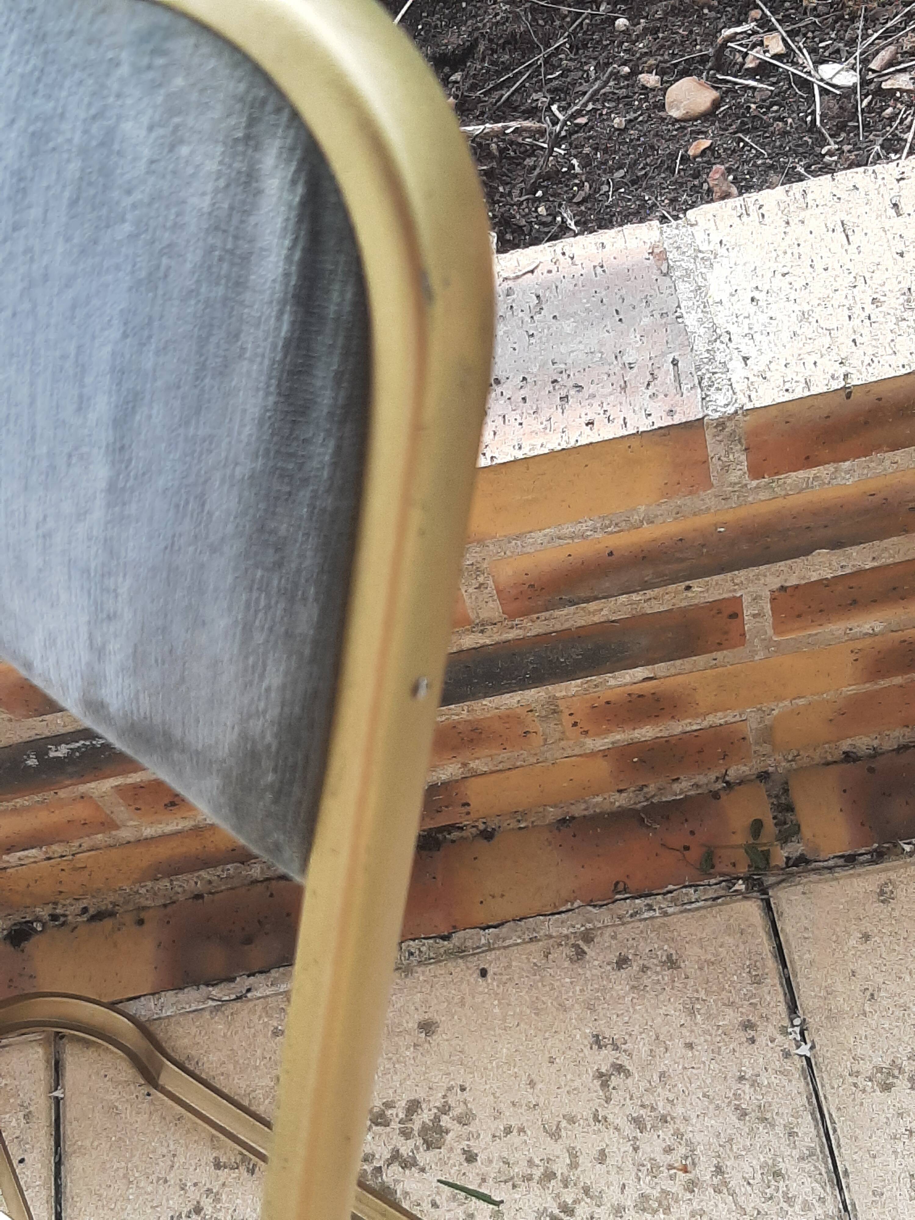 Lot de 4 chaises  pliantes - dossier et assise vert d'eau - structure métal doré -Chaisor
