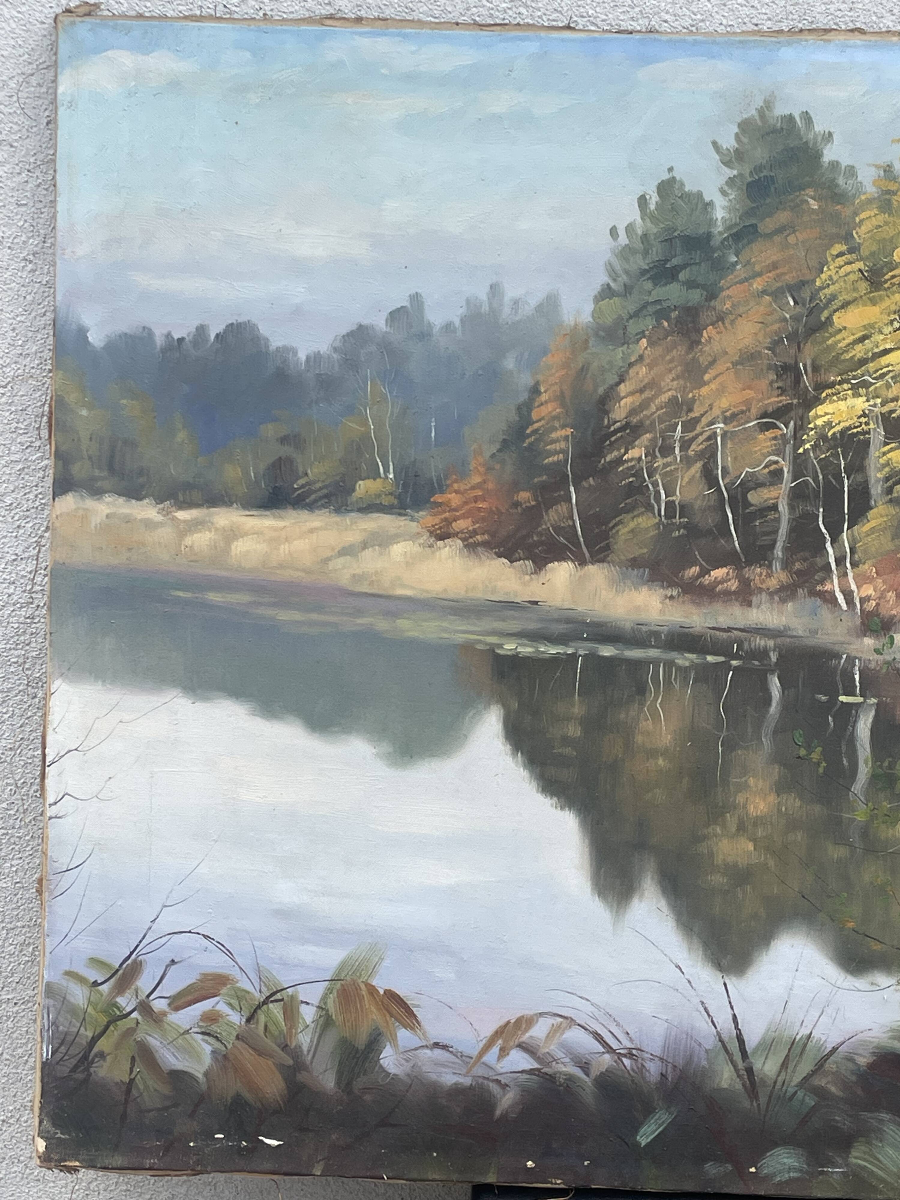 Oil on canvas lake landscape signed go baudoin xxth - 1975