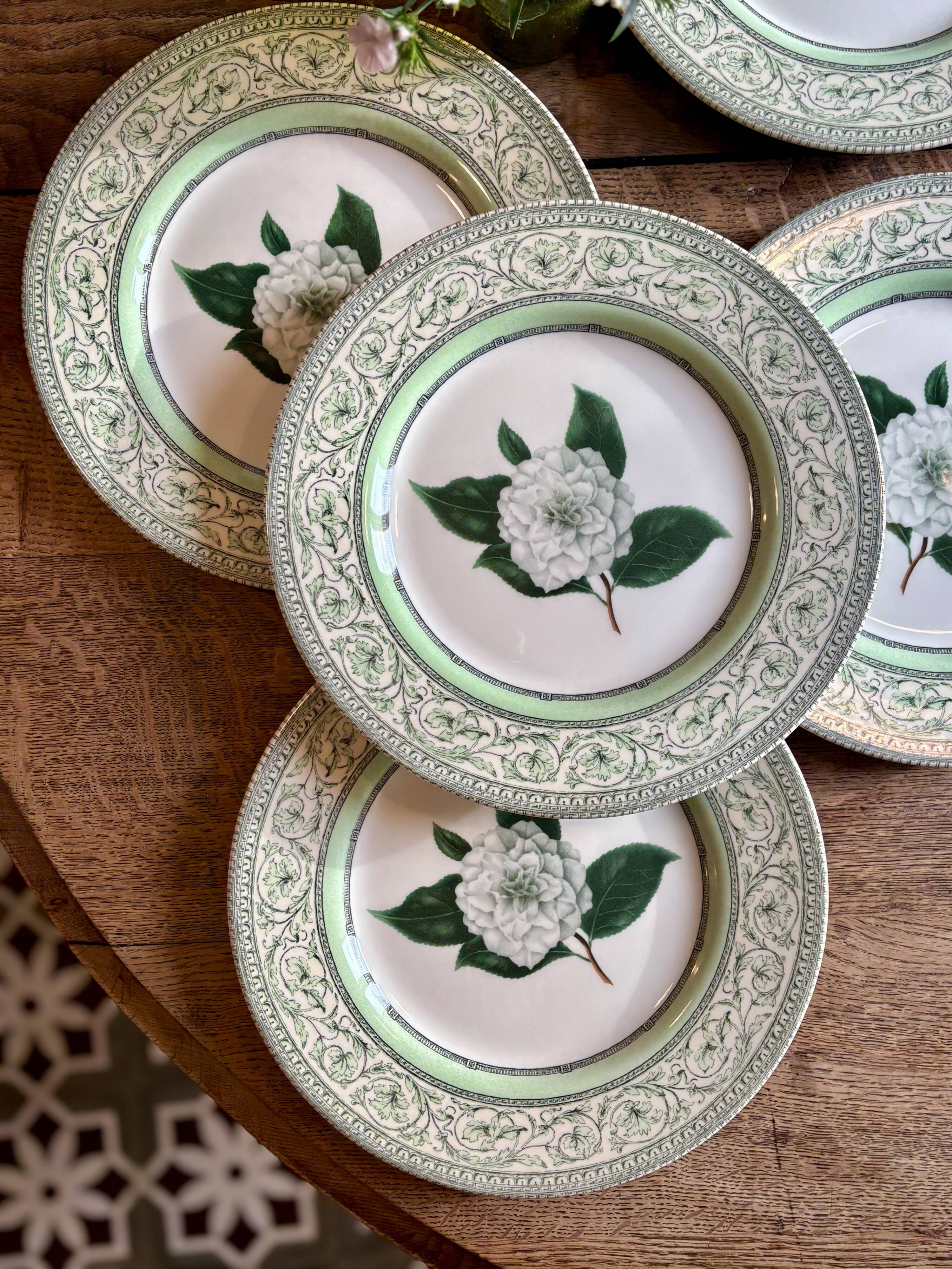 Lot de 8 assiettes plates Camélia - en porcelaine Anglaise