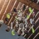 Small crystal boudoir chandelier - 1 light Bobeche signed Baccarat Epoque
