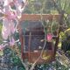 Cage à oiseaux ancienne en bois