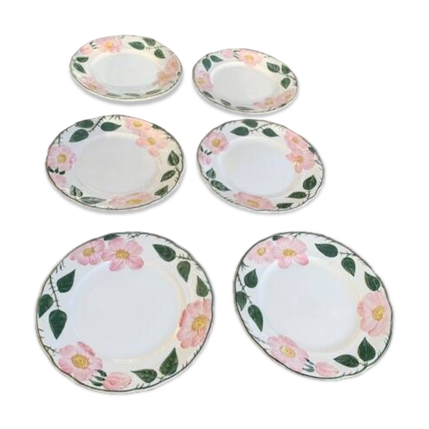 6 small earthenware dessert plates, Villeroy and Boch, wild rose, hawthorn, west germany
