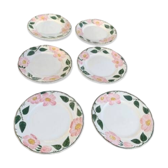 6 small earthenware dessert plates, Villeroy and Boch, wild rose, hawthorn, west germany