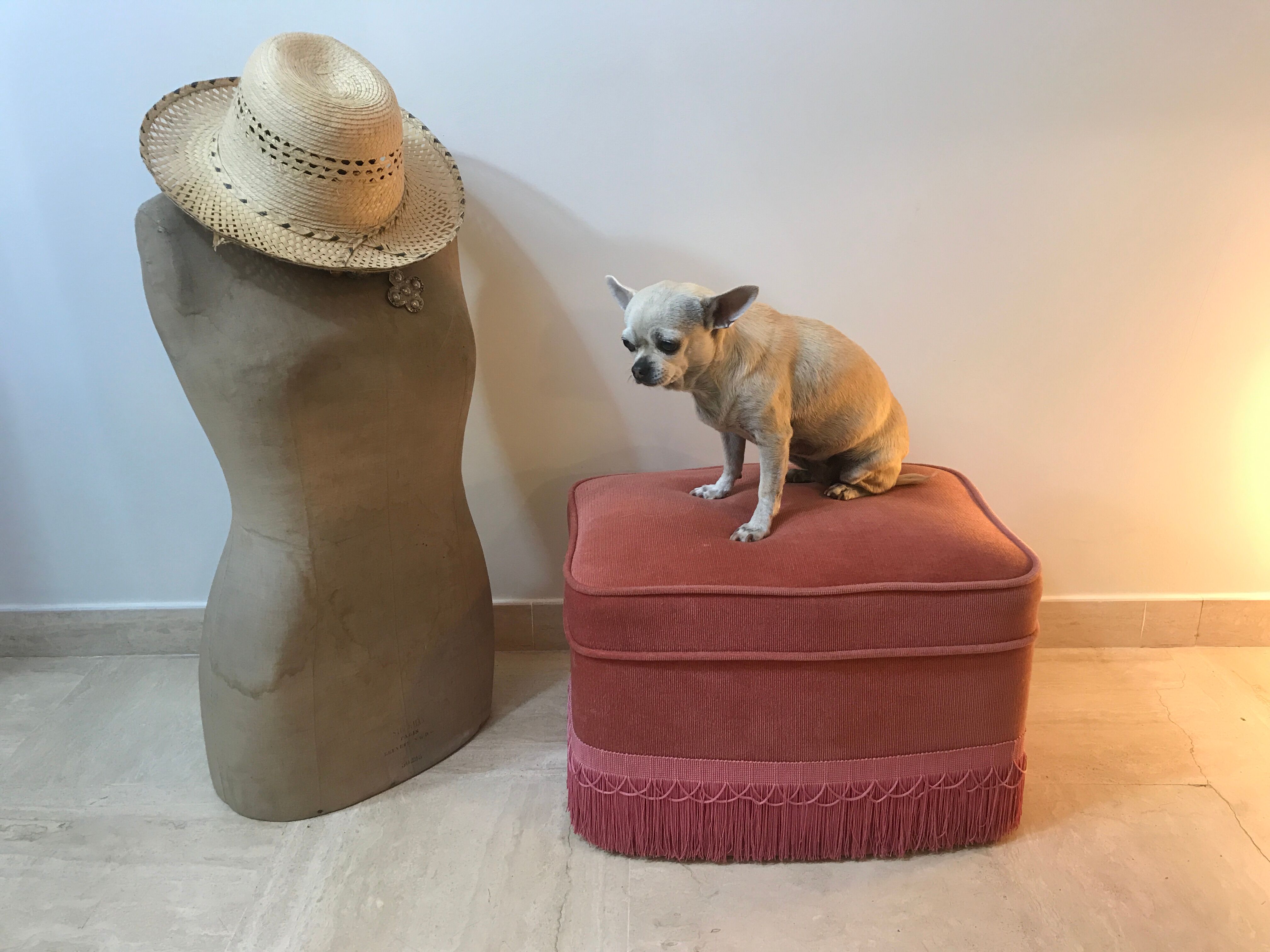Pink velvet pouf with fringes