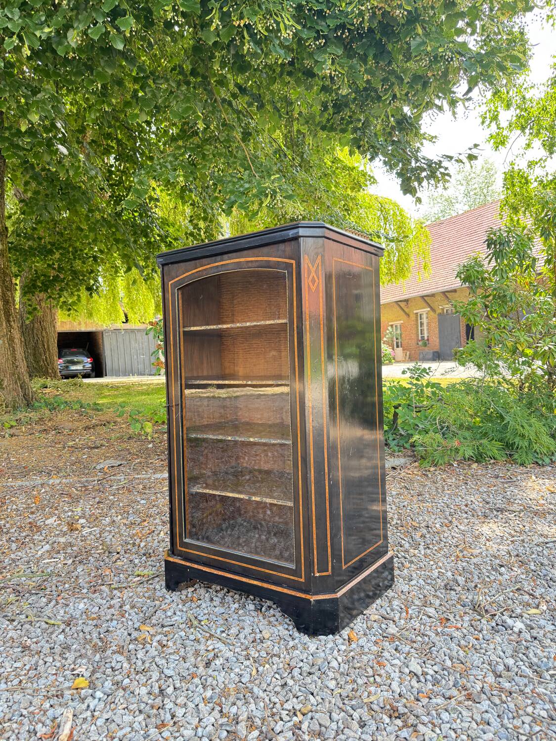 Blackened wooden display case from the Napoleon III period, 19th century