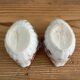 Pair of salerons shell Louis XV style porcelain of the nineteenth