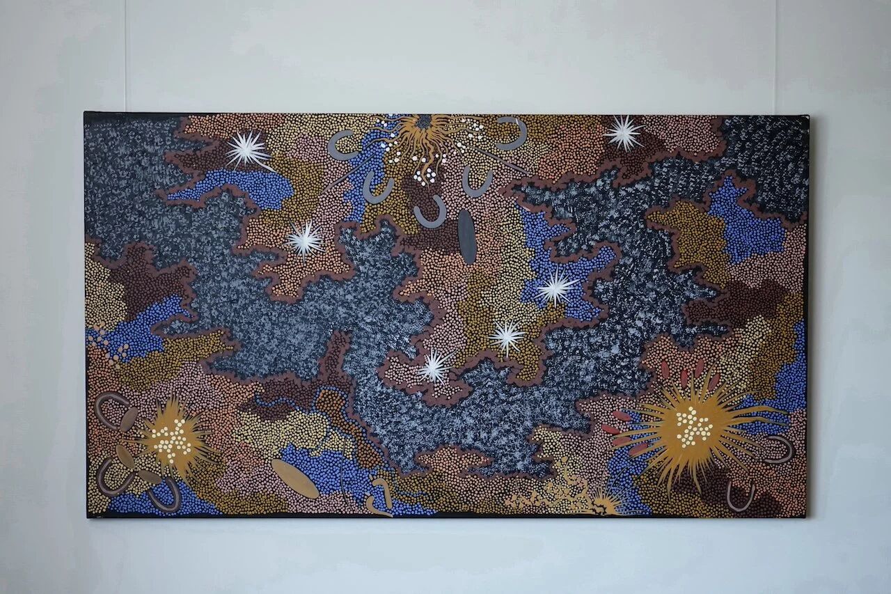 Artwork by Gabriella Possum Nungurrayi