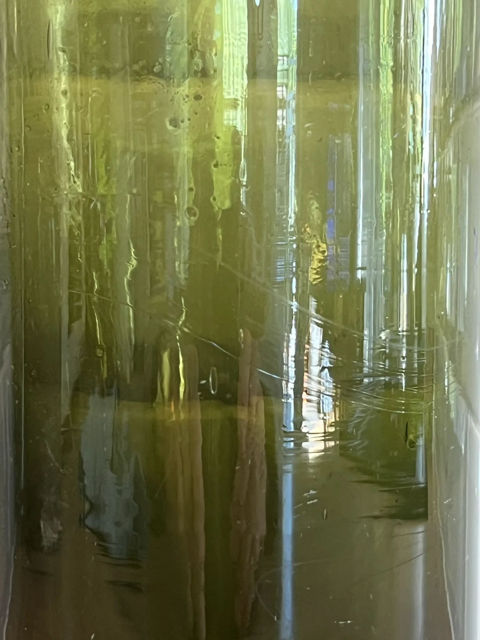 Glass vase bottle