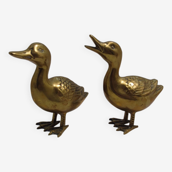 brass duck couple