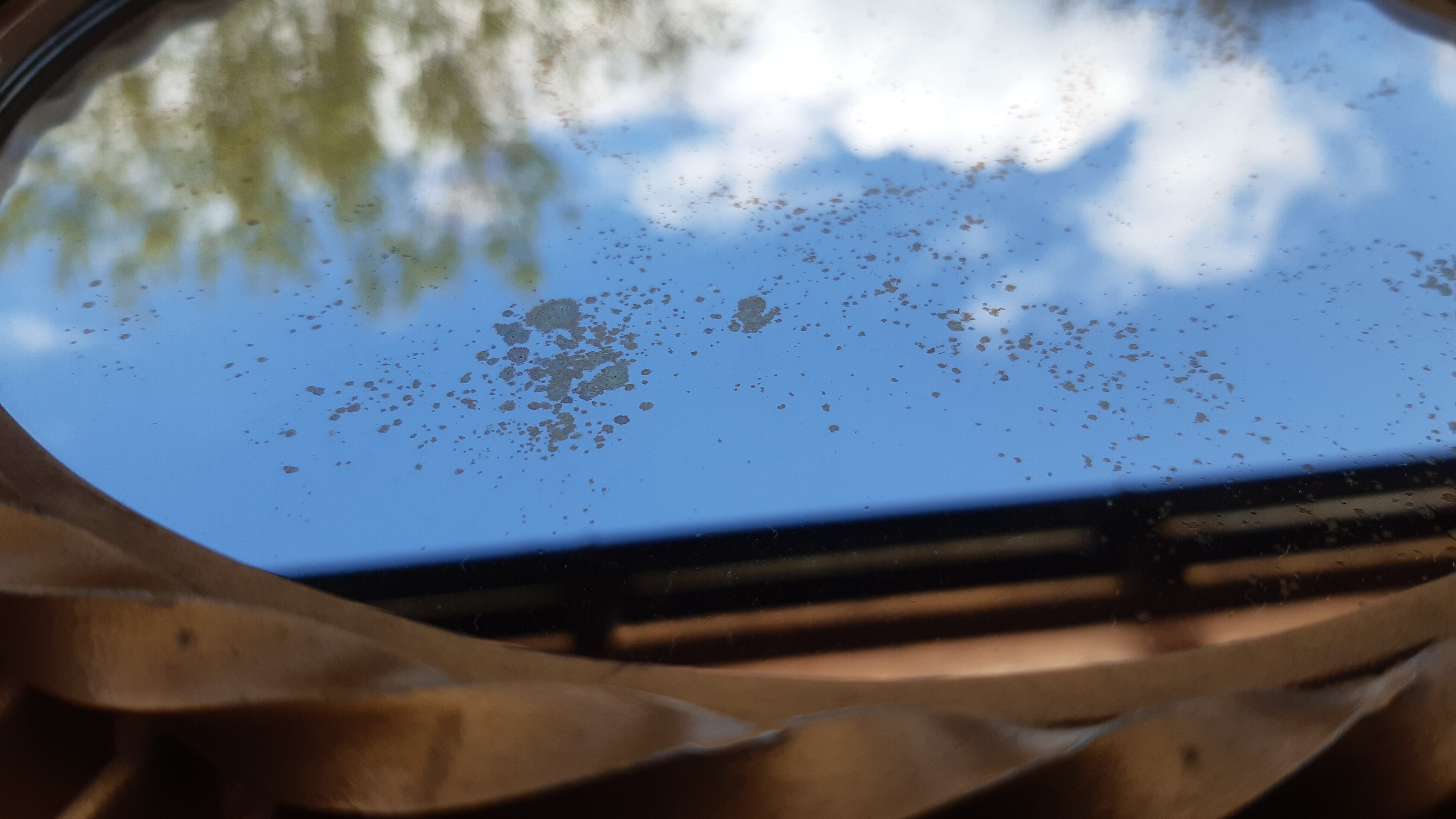 Sun Mirror Chaty Vallauris 71cm