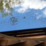 Sun Mirror Chaty Vallauris 71cm