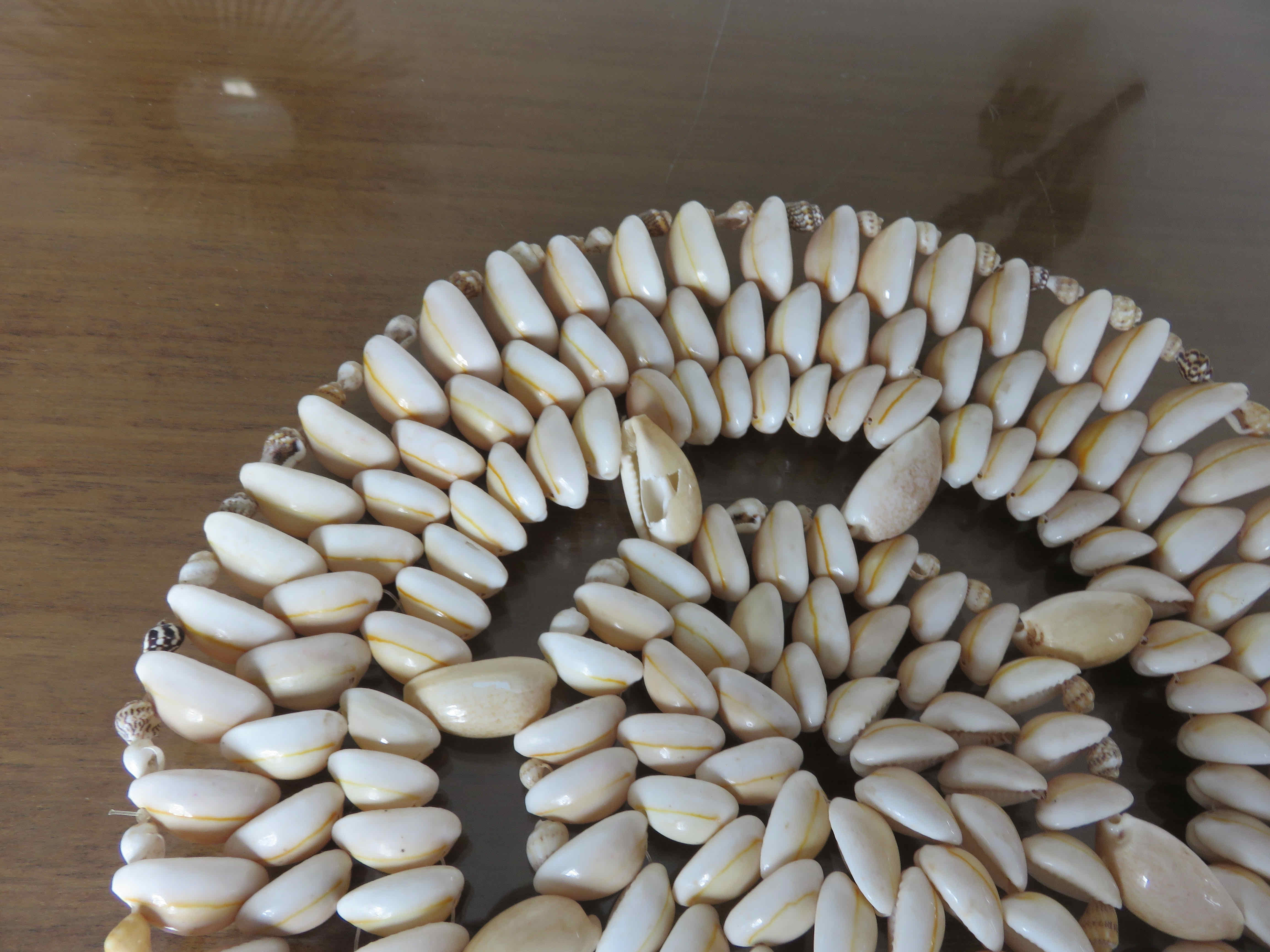 Pair of shell dishes underside 70s