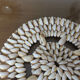 Pair of shell dishes underside 70s