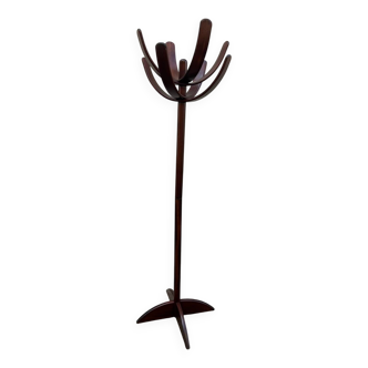 Cactus coat rack