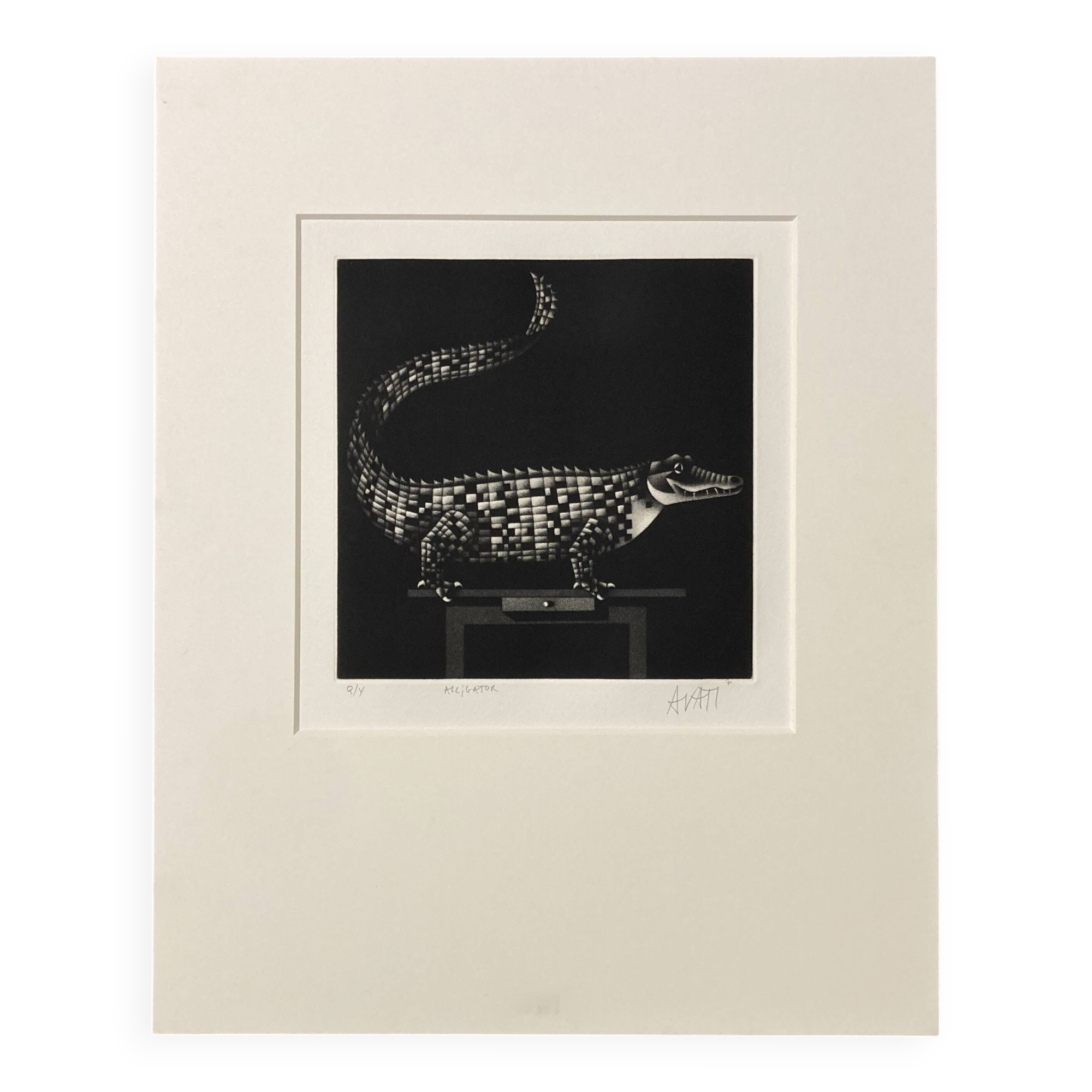 Mario avati (1921-2009), alligator, black and white, 1970