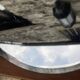 Miroir ancien biseauté