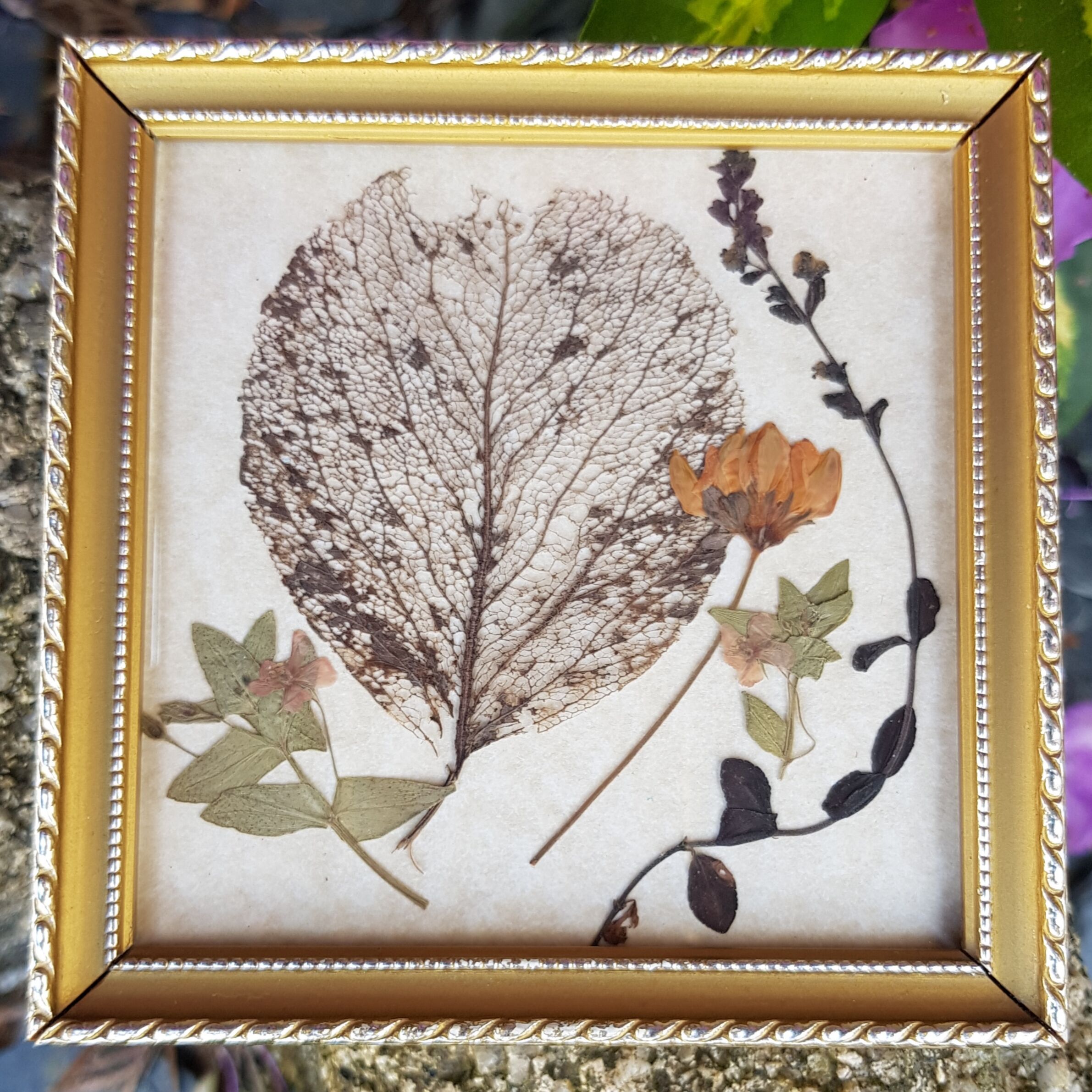 Cadre herbier