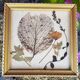 Cadre herbier