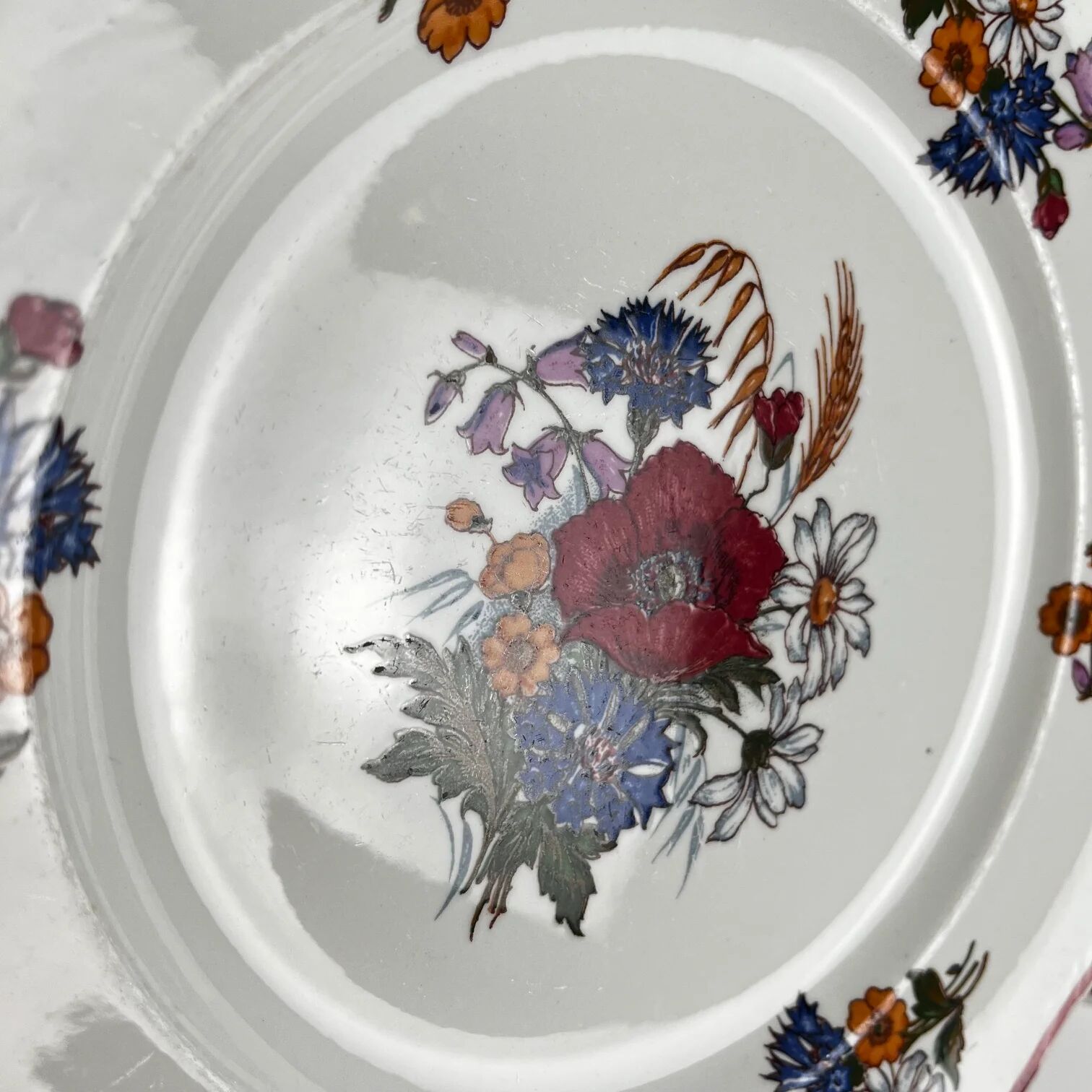 Set of 6 flat plates "Agreste", Sarreguemines, late 20th century, Pyroblan
