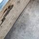 Trunk chest in raw wood
