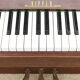 Rippen Study Piano