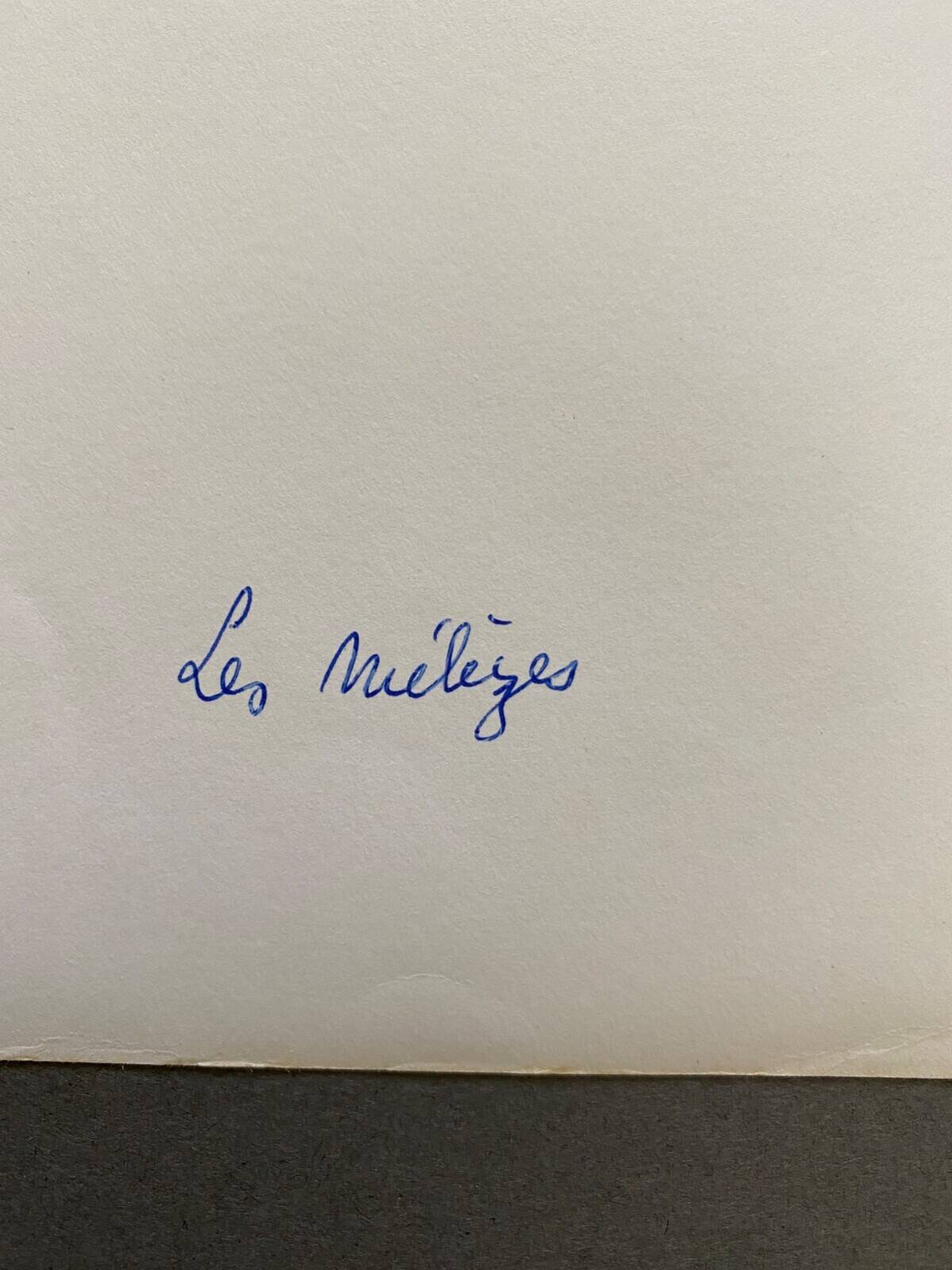 Silver photo Bernard Darot 20th Les Mélèzes