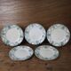 5 old flat plates in Terre de Fer, Pierrefonds model