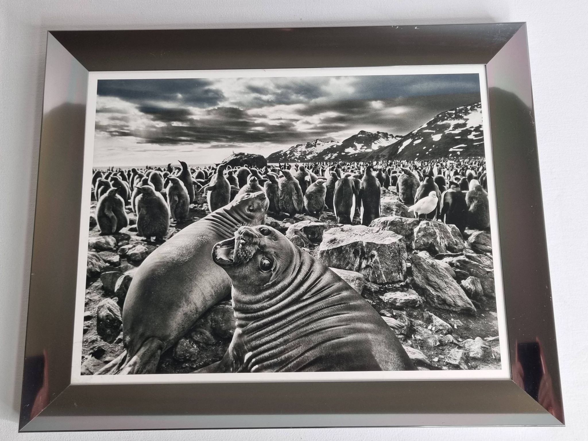 Offset edition in black and white "Genesis" after Sebastião Salgado, framed under glass, 30 x 38 cm