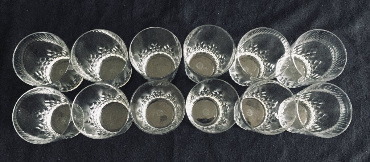 Lot de 12 verres à whisky en cristal Baccarat modèle Champigny