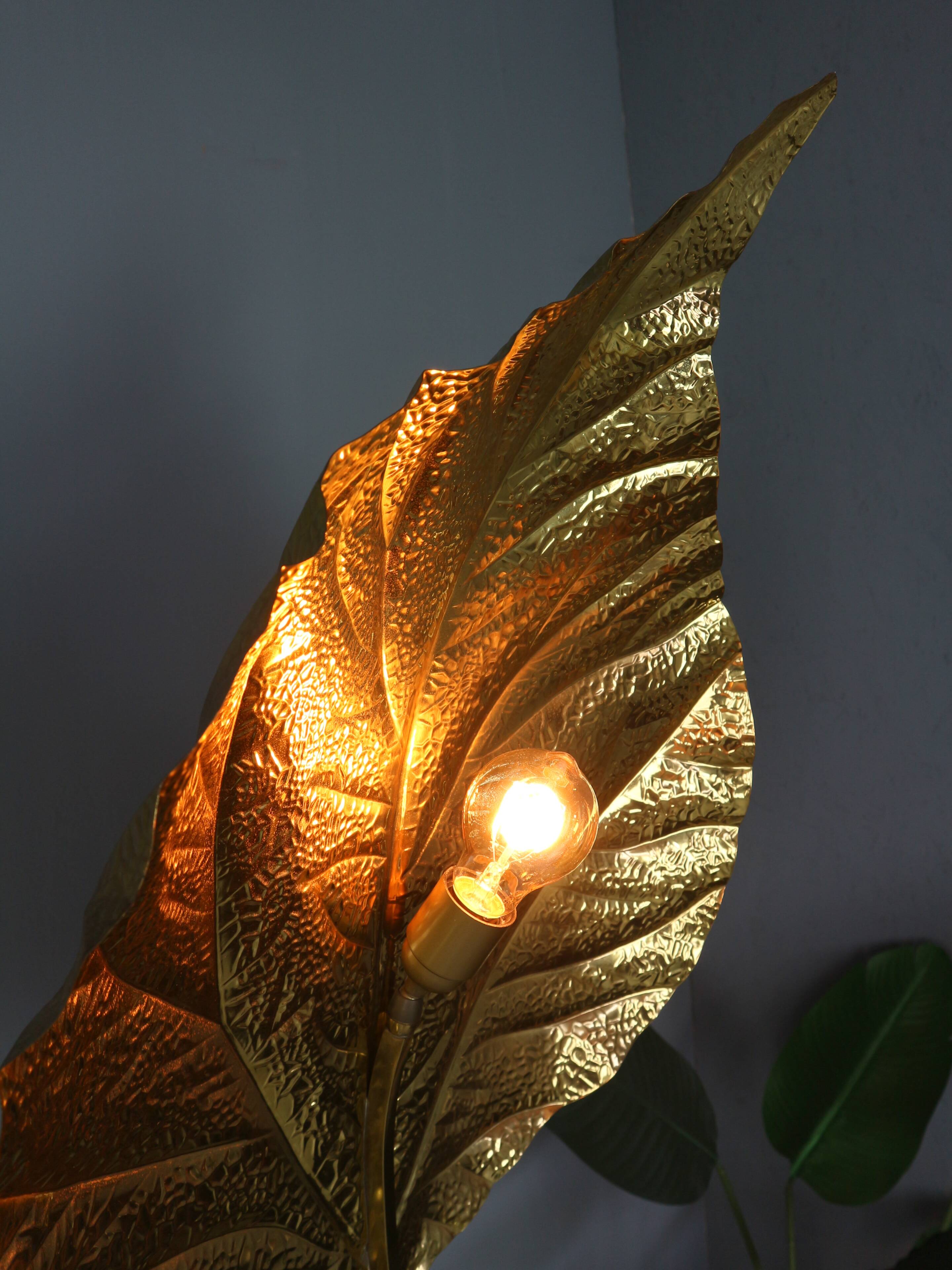 Tommaso Barbi "Rhubarb" floor lamp by Bottega Gadda Italy, 1970