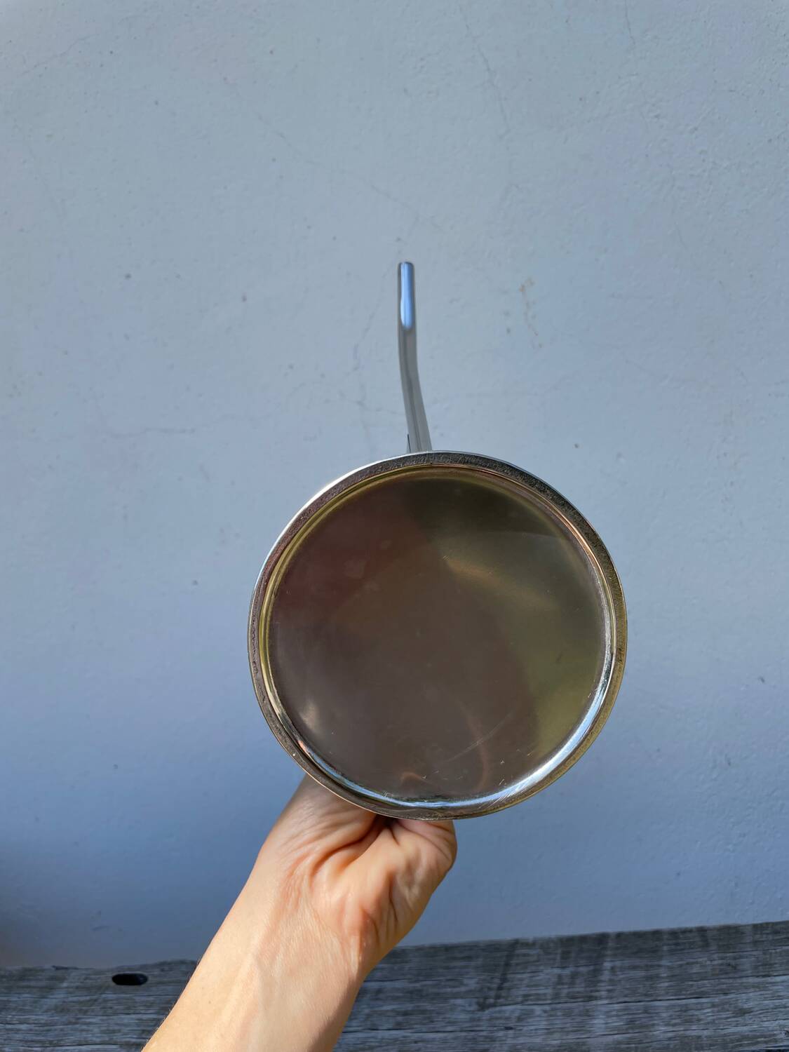 Small stainless steel watering can