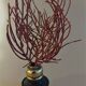 Cabinet of Curiosities red coral ellisella ceratophyta on base
