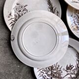 Set of 6 Tunstall flat plates in English Ironstone Amazon pattern circa 1880