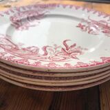 Set of 5 plates St Amandinoise model Iris