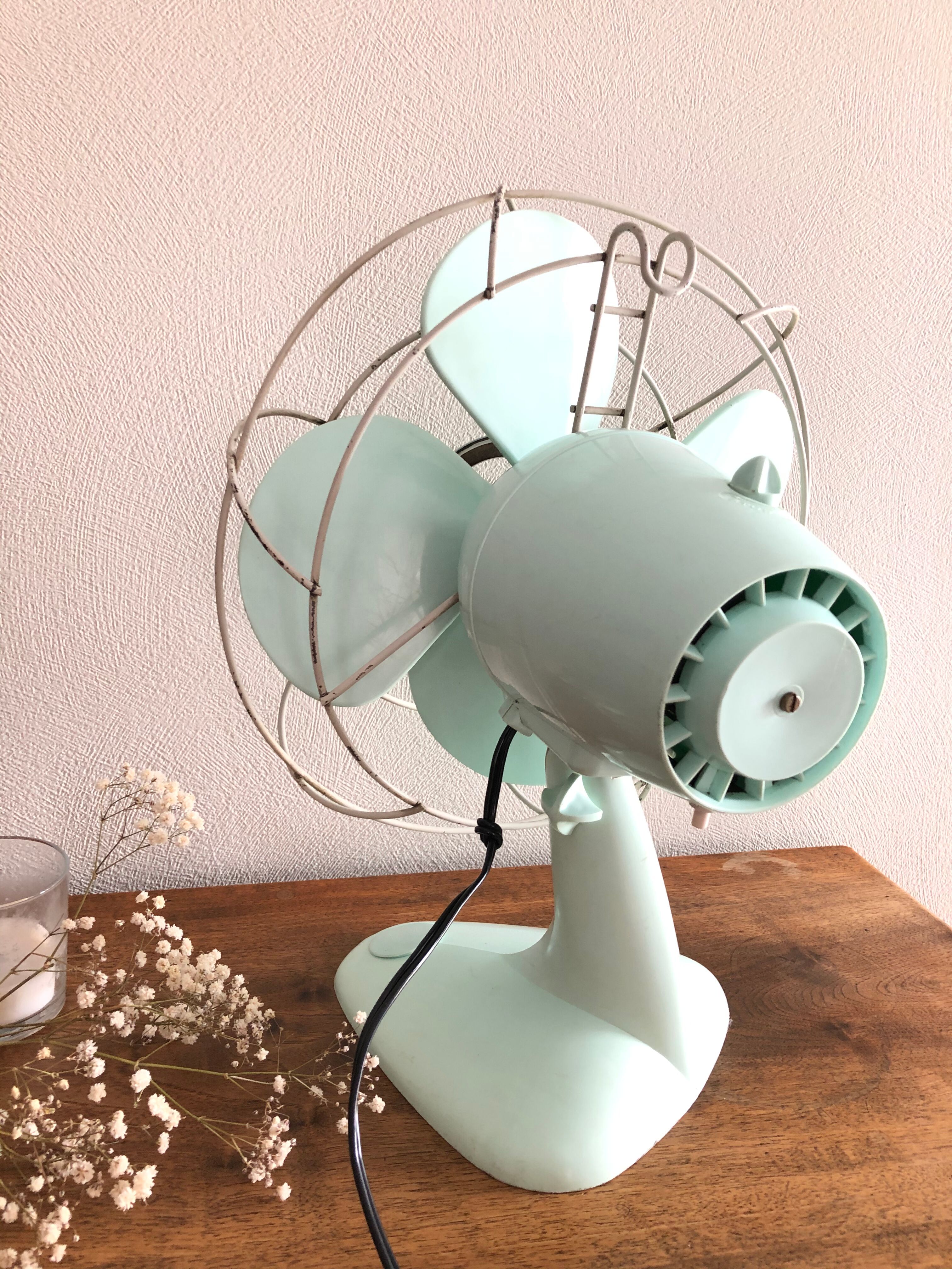 Calor Minth Vintage Fan