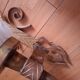 3 gold metal torchere wall lights