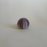 Sea urchin entomology