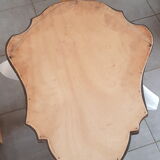 Mirror wall shell gilded wood - 73x50cm