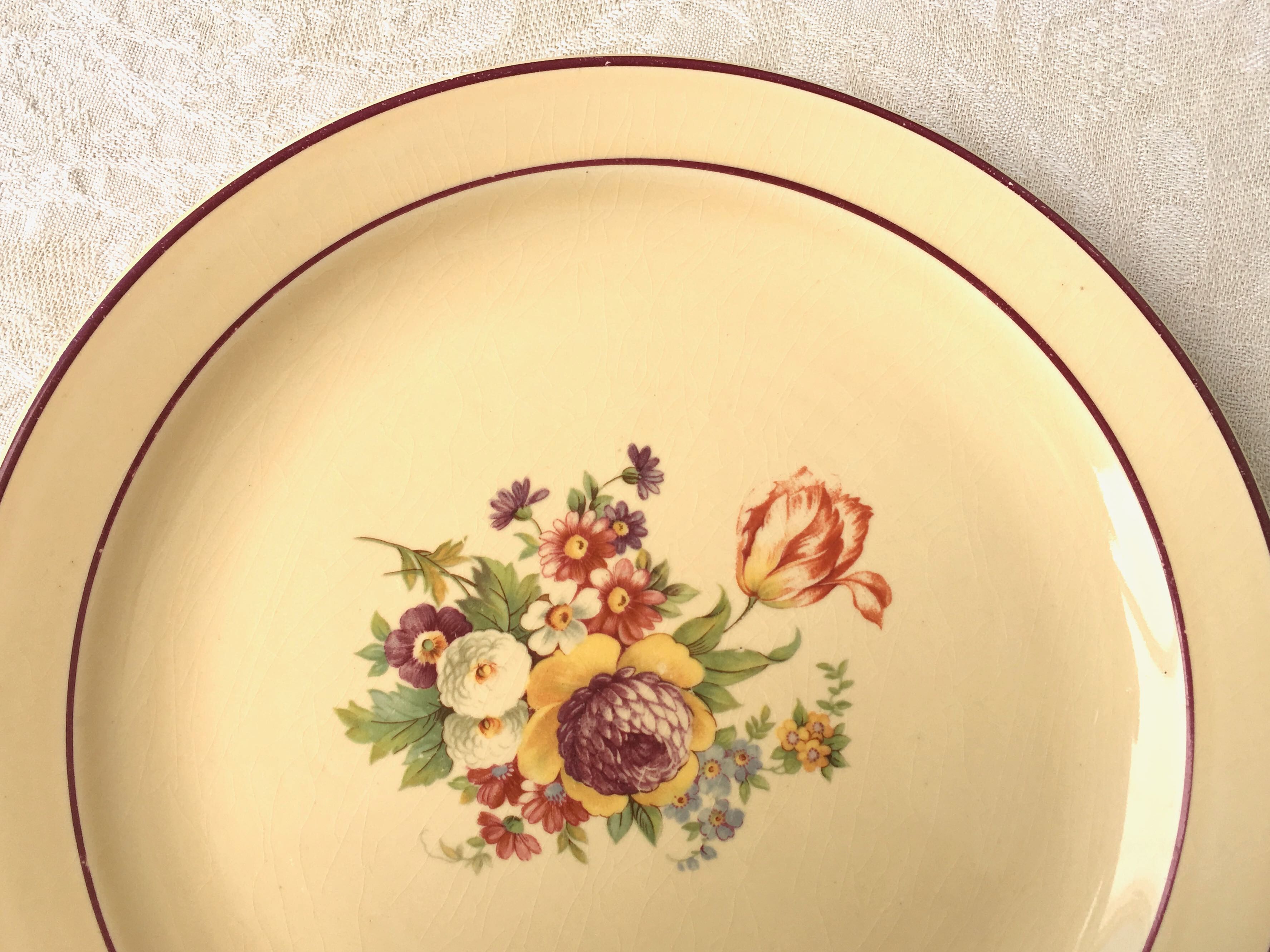 Set of 12 flat plates of Salins earthenware