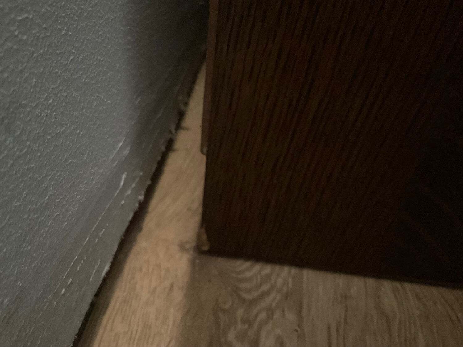 Vintage shoe cabinet from the 70s