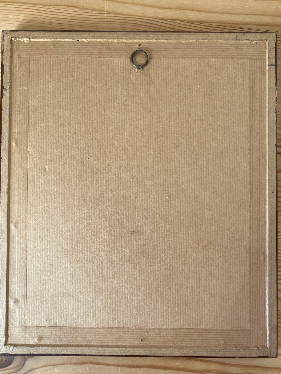 Botanical plate of mountain flowers from the 1960s.