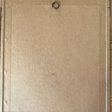 Botanical plate of mountain flowers from the 1960s.