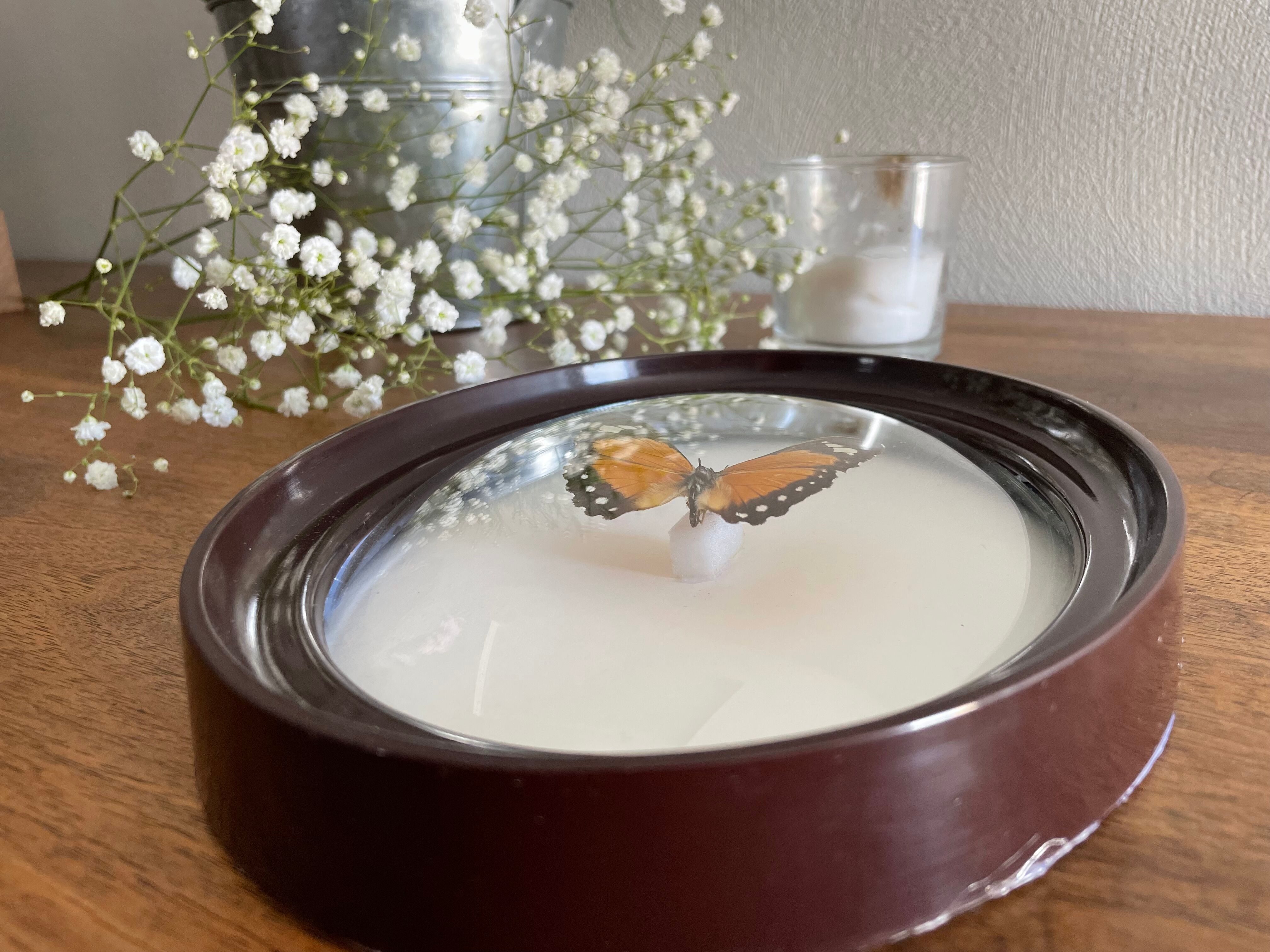 Butterfly frame naturalized curved glass