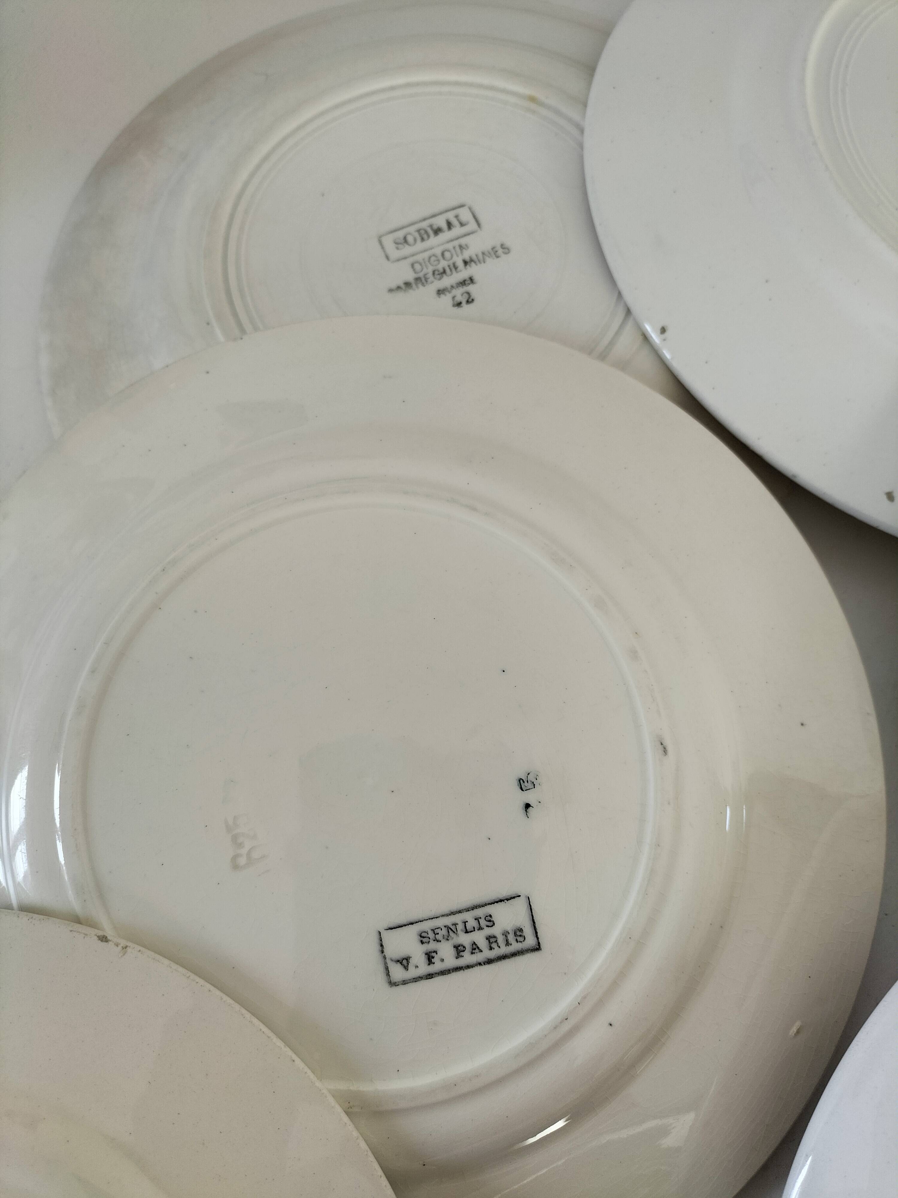 Set of 8 ironstone plates with coordinated designs.