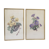 Lot de 2 cadres anciens botaniques