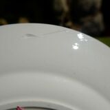 Mignon plates in Longwy earthenware