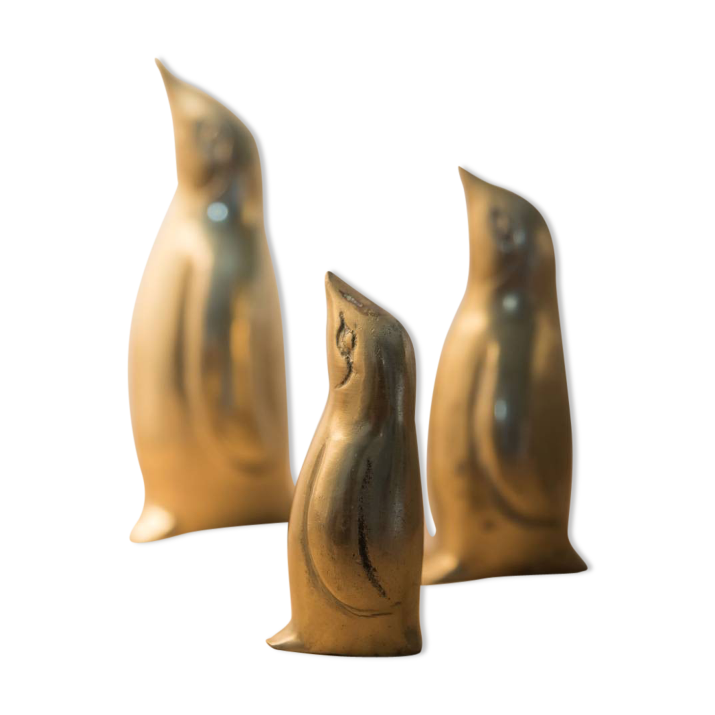 Penguin brass