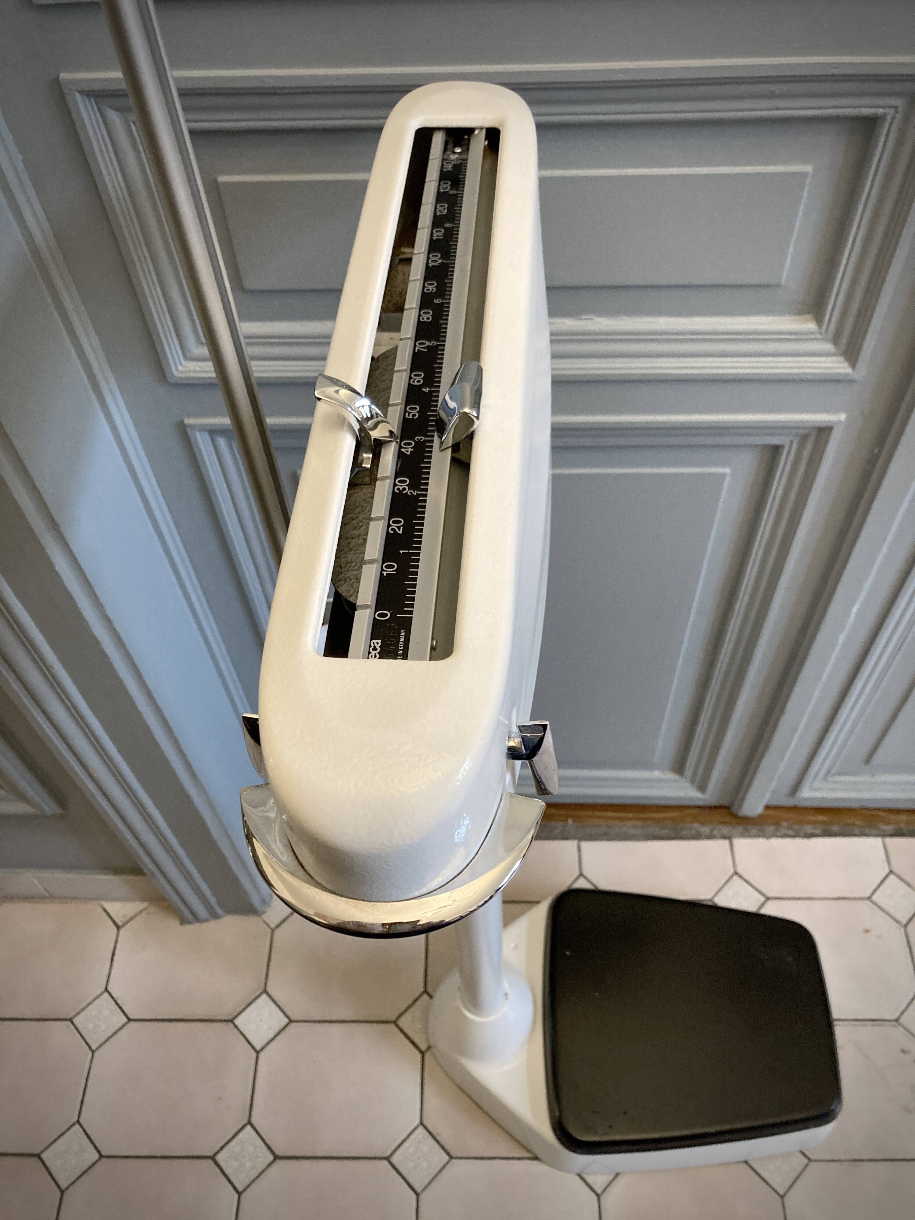 Personal scale and medicine measuring rod